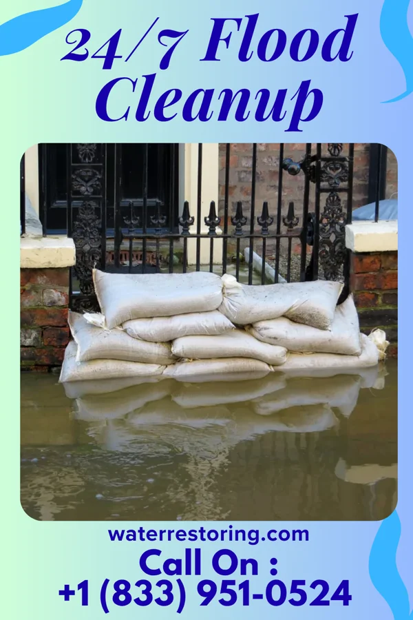 24/7 Flood Cleanup in Lake Secession, SC