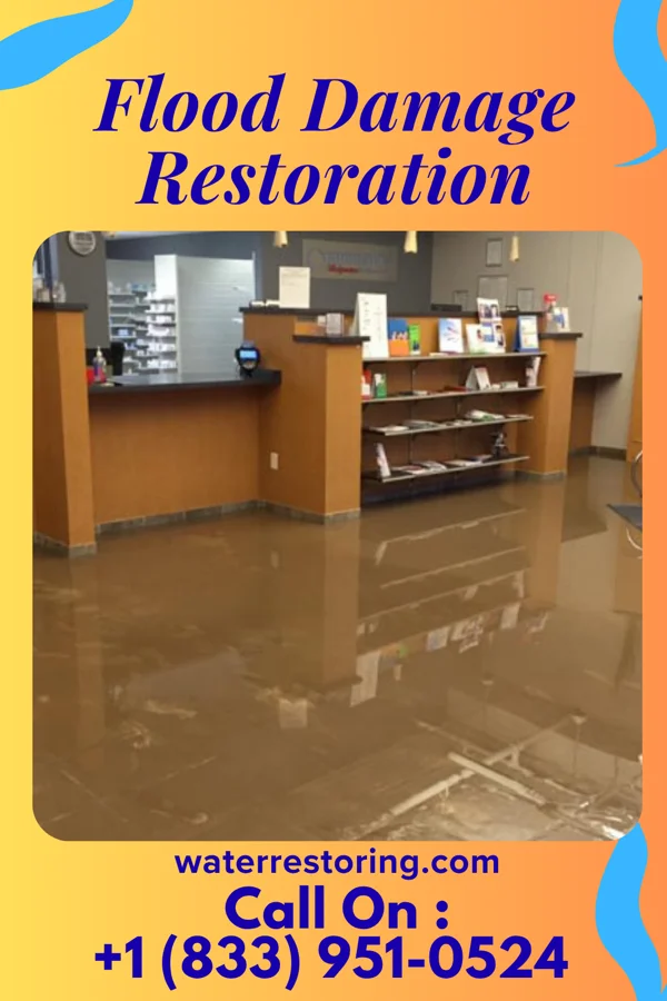 Flood Damage Restoration in Lake Secession, SC