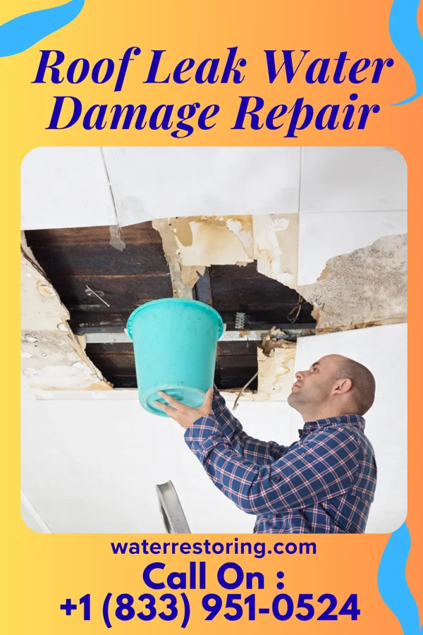 Roof Leak Water Damage Repair in Lake Secession, SC